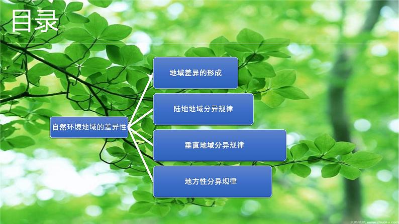 5.2自然环境的地域差异性课件2021-2022学年高中地理人教版(2029)选择性必修1第2页