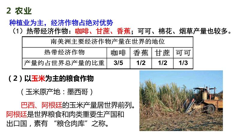043南美(人文环境)2023届高三地理一轮总复习第二部分世界地理之南美地区第2课时第5页