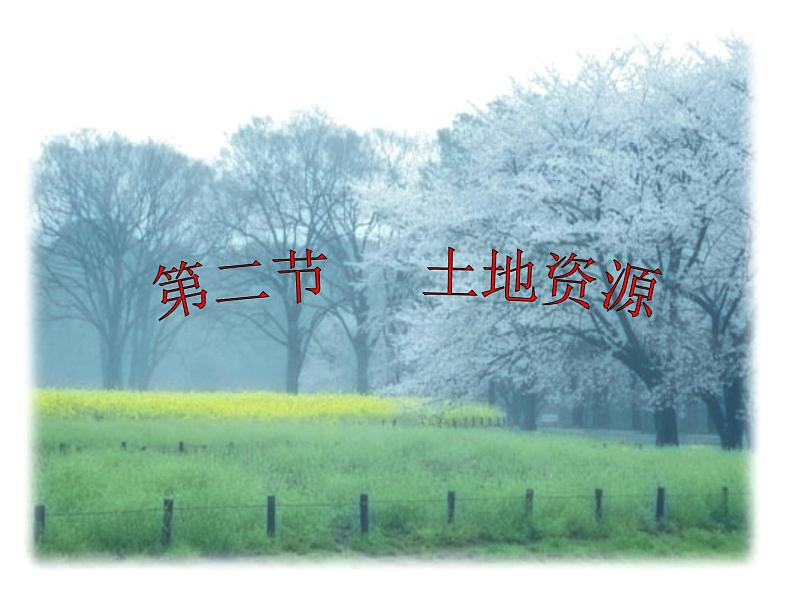 高考一轮复习课件微专题 土地资源第4页
