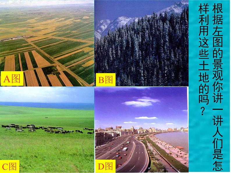 高考一轮复习课件微专题 土地资源第5页