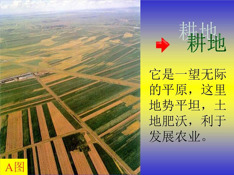 高考一轮复习课件微专题 土地资源第6页