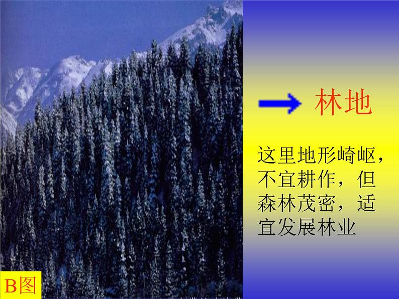 高考一轮复习课件微专题 土地资源第7页