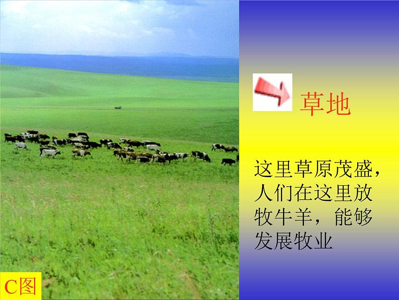高考一轮复习课件微专题 土地资源第8页