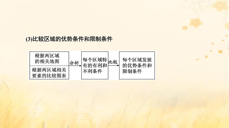 新课标2023版高考地理一轮总复习第十四章区域与区域发展第二节“区域与区域发展”类题目的两大命题视角综合思维课件第5页