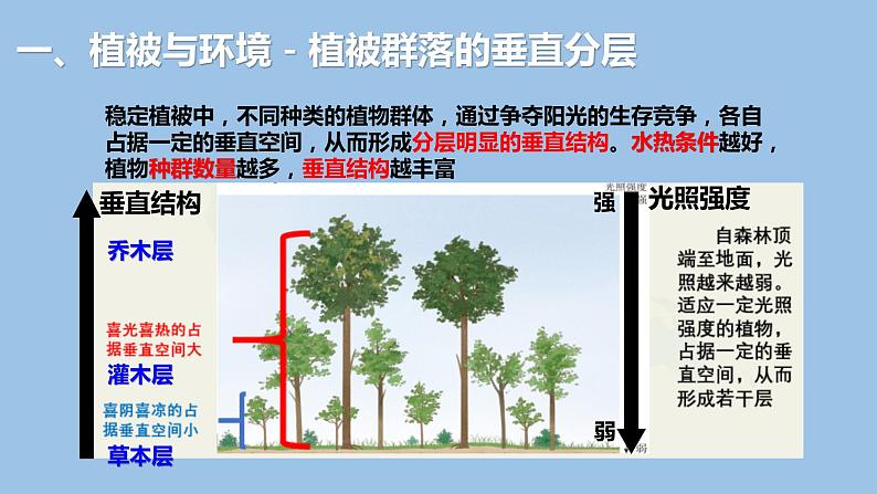 5.1 植被-2022-2023学年高一地理上学期同步课堂备课课件(人教版2019必修第一册)07