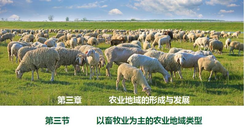 3.3以畜牧业为主的农业地域类型（课件）-2022-2023学年高一地理同步备课系列（人教版必修2）03