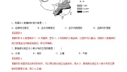 人教版 (新课标)必修2第三章 农业地域的形成与发展第一节 农业的区位选择优秀同步达标检测题