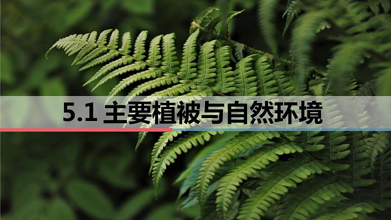 5.1 主要植被与自然环境 课件-2022-2023学年湘教版(2019)高中地理必修第一册01