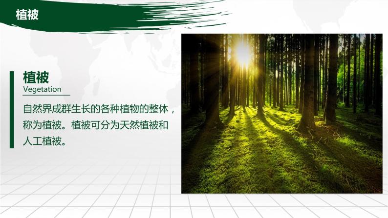 5.1 主要植被与自然环境 课件-2022-2023学年湘教版（2019）高中地理必修第一册04