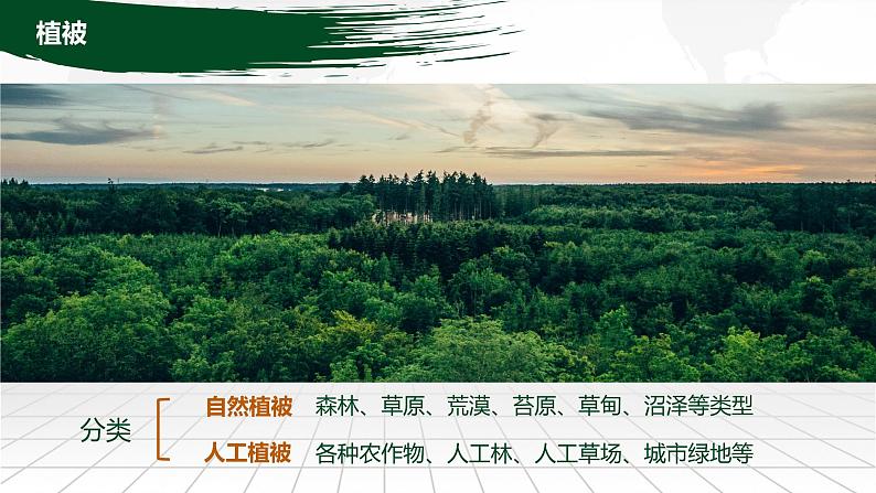 5.1 主要植被与自然环境 课件-2022-2023学年湘教版(2019)高中地理必修第一册05