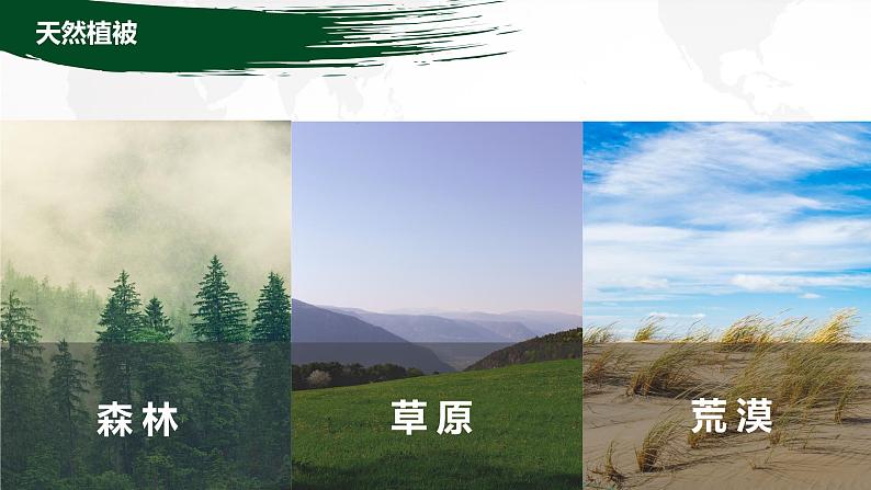 5.1 主要植被与自然环境 课件-2022-2023学年湘教版(2019)高中地理必修第一册06