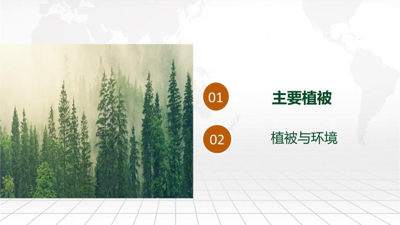 5.1 主要植被与自然环境 课件-2022-2023学年湘教版（2019）高中地理必修第一册08