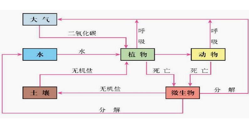 5.1 自然地理环境的整体性(课件)-2022-2023学年高二同步备课系列(人教版2019选择性必修1)08