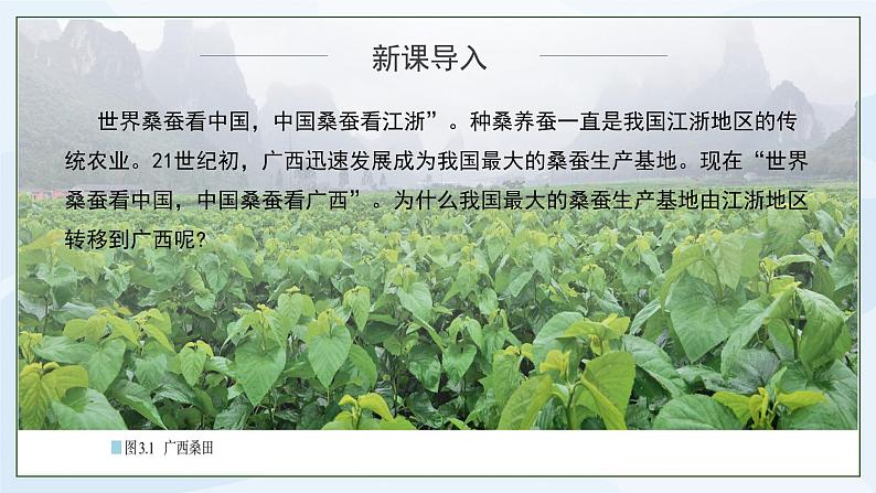 人教版高中地理3.1《农业区位因素及其变化》课件PPT第4页