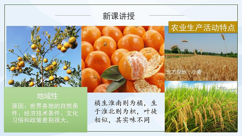 人教版高中地理3.1《农业区位因素及其变化》课件PPT第7页