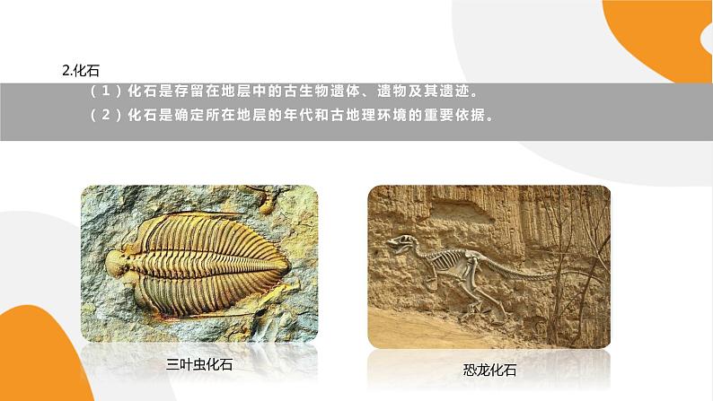 配套新教材高中地理人教版必修第一册1.3《地球的历史》课件PPT第5页