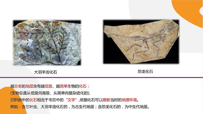 配套新教材高中地理人教版必修第一册1.3《地球的历史》课件PPT第7页