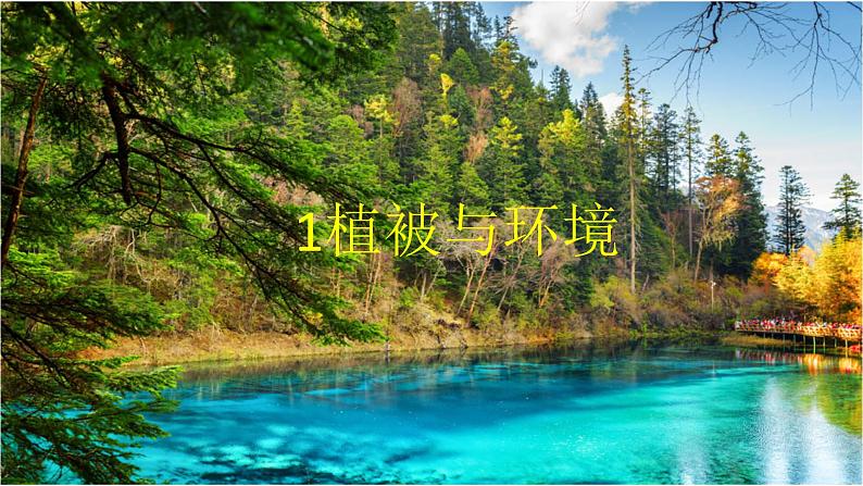 高中地理必修一 《第一节 植被》精品说课课件第4页