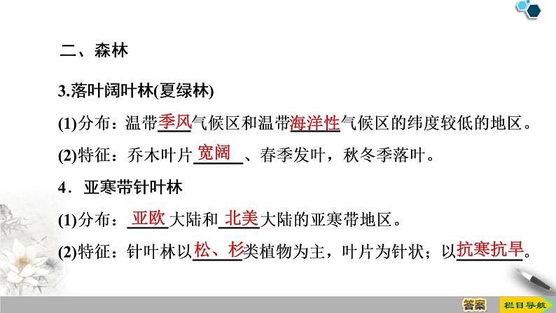 高中地理必修一 《第一节 植被》优质教学课件第7页