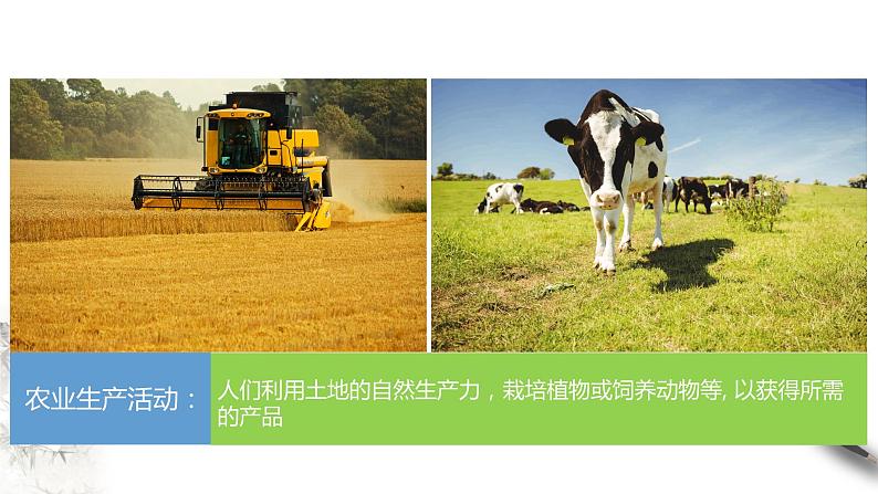 高中地理必修二 3.1 农业区位因素及其变化 课件(共35张)05