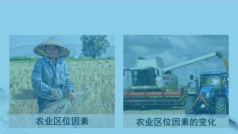 高中地理必修二 3.1 农业区位因素及其变化 课件(共54张)04