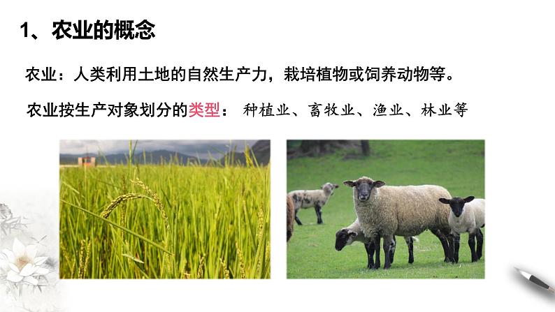 高中地理必修二 3.1 农业区位因素及其变化 课件(共54张)06