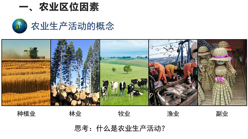 高中地理必修二 3.1农业区位因素及其变化 (第1课时)课件第3页