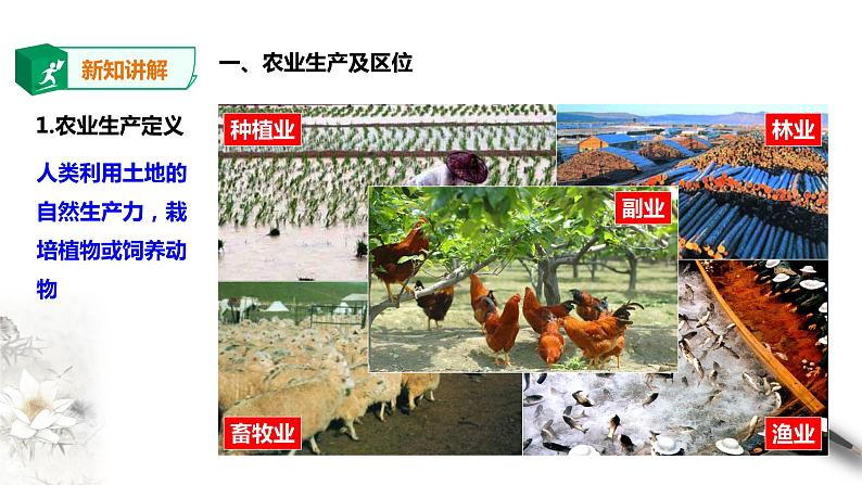 高中地理必修二 3.1农业区位因素及其变化 课件第3页