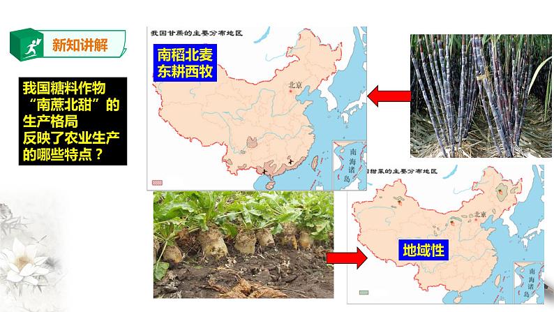 高中地理必修二 3.1农业区位因素及其变化 课件第5页