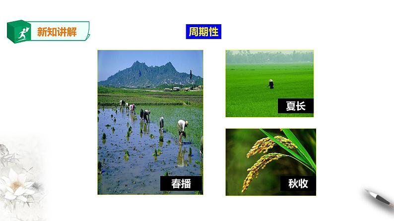 高中地理必修二 3.1农业区位因素及其变化 课件第7页