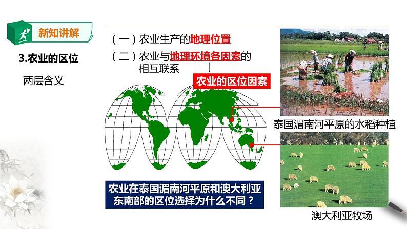 高中地理必修二 3.1农业区位因素及其变化 课件第8页