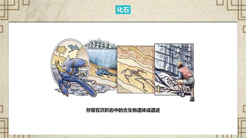人教版(2019)高中地理必修一 1.3地球的历史课件第5页