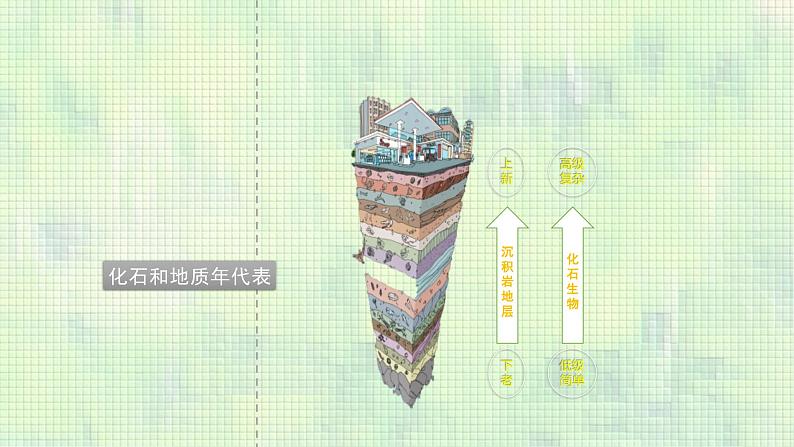 人教版(2019)高中地理必修一 1.3地球的历史课件第8页
