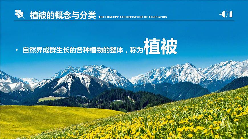 人教版（2019）高中地理必修一  5.1植被 課件第4頁