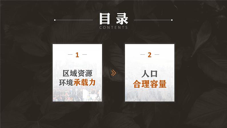 1.3人口容量-高一地理课件(人教版2019必修第二册)03