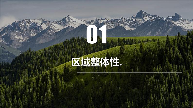 1.2区域整体性和关联性课件-高中地理人教版(2019)选择性必修204