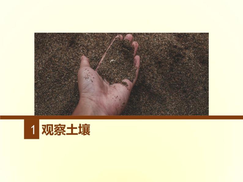 人教版高中地理必修第一册5.2土壤课件04