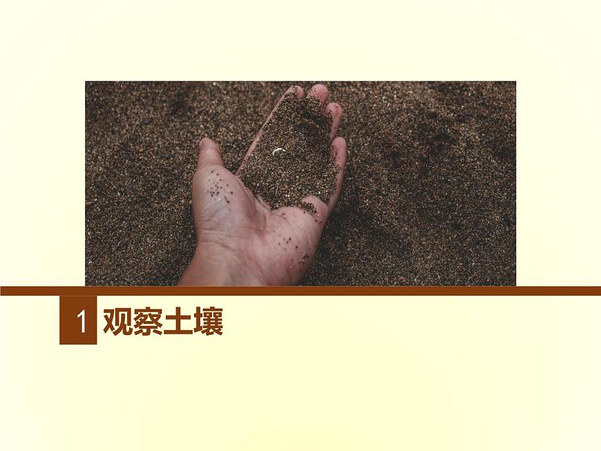 人教版高中地理必修第一冊(cè)5.2土壤課件第4頁