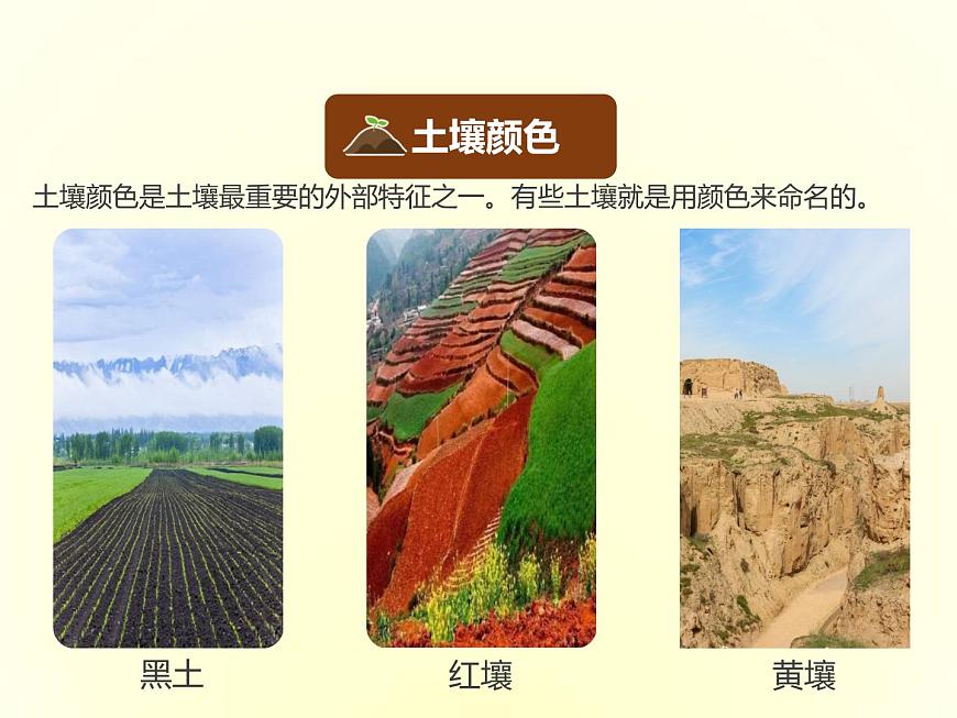 人教版高中地理必修第一冊(cè)5.2土壤課件第6頁