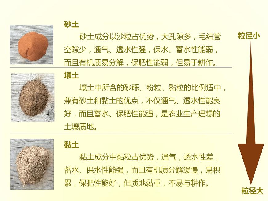 人教版高中地理必修第一冊(cè)5.2土壤課件第8頁