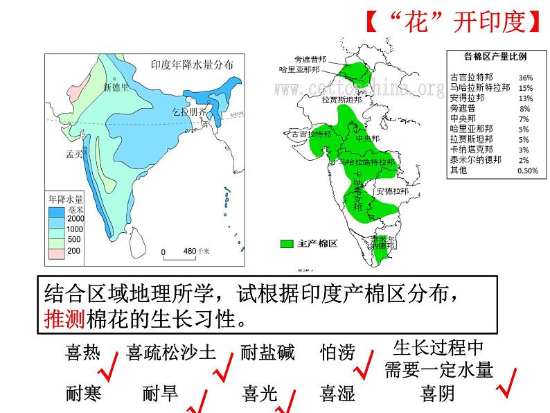 南亚的农业-印度棉花 课件第6页