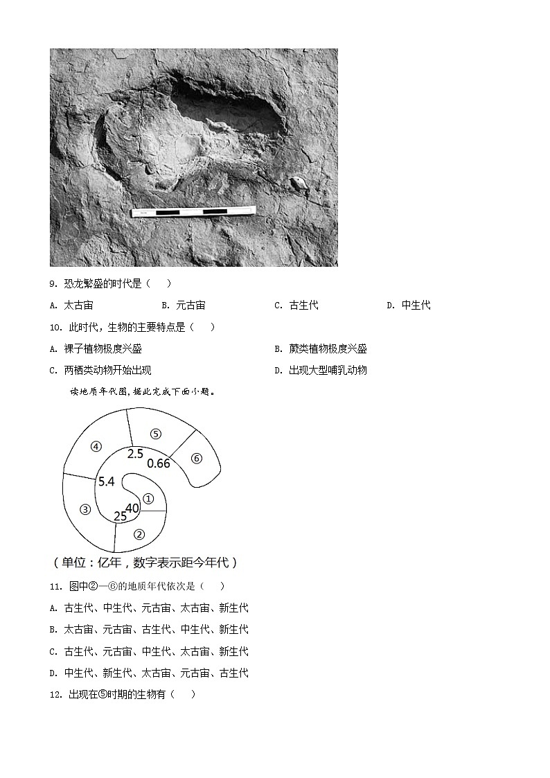 安徽省宿州市十三所重点中学2021-2022学年高二上学期期中地理试题无答案第3页