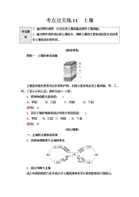 普通高中地理学业水平合格性考试考点过关练11土壤含答案