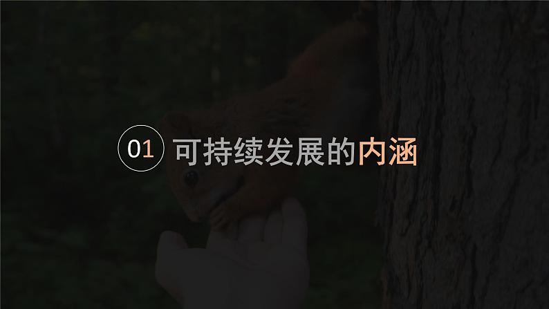 5.2走向人地协调——可持续发展高一地理课件(人教版2019必修第二册)第4页