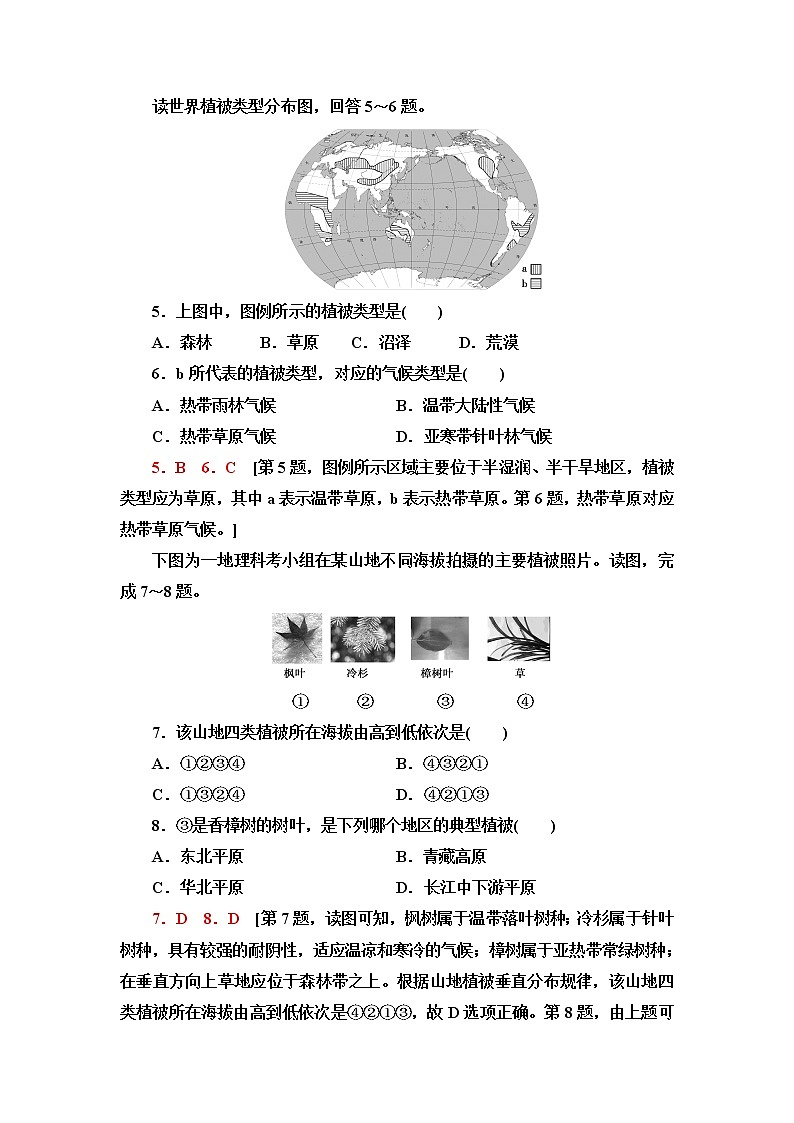 人教版高中地理必修第一册第5章第1节植被课件+学案+练习含答案02