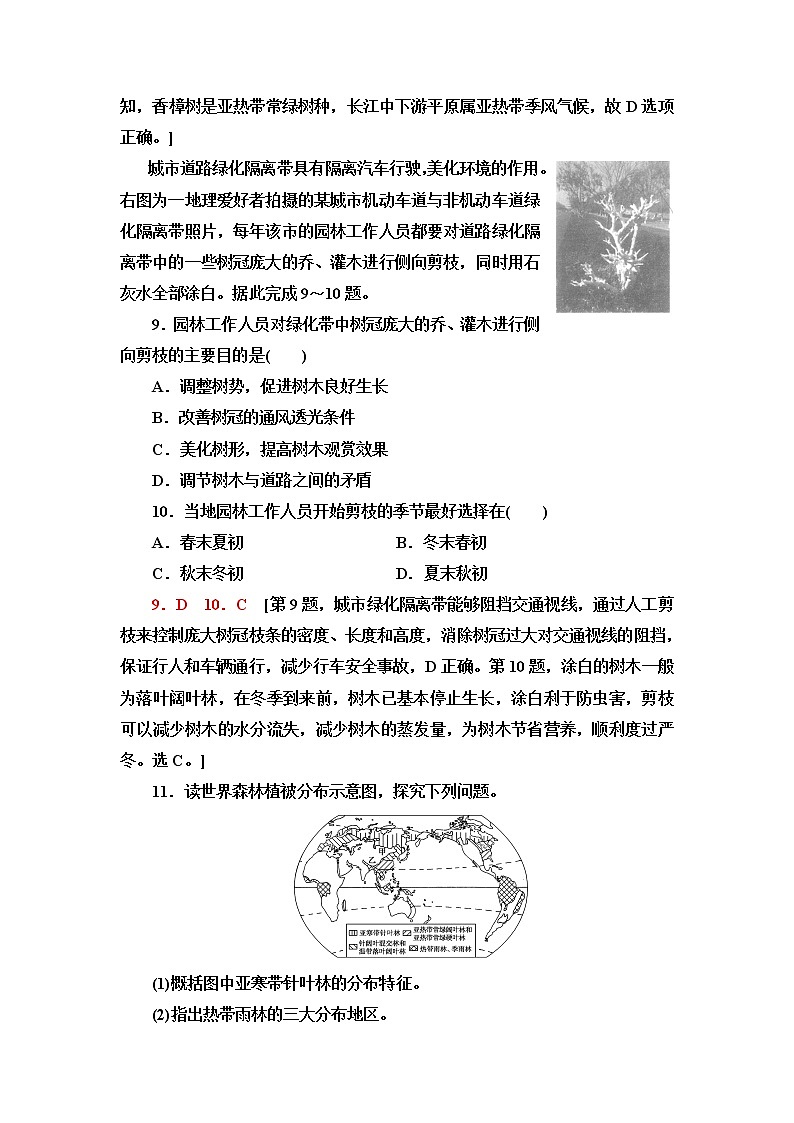 人教版高中地理必修第一册第5章第1节植被课件+学案+练习含答案03