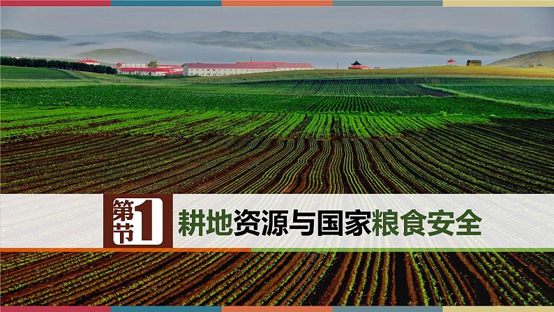 2.1耕地资源与国家粮食安全 课件+练习-高二地理(湘教版2019选择性必修3)01