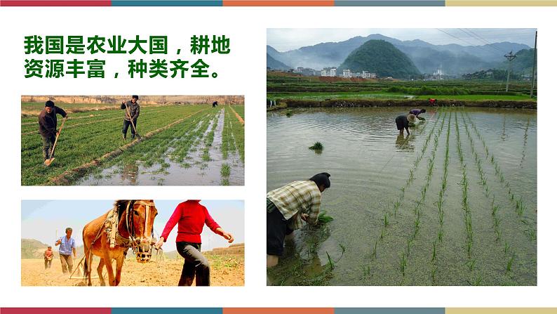 2.1耕地资源与国家粮食安全 课件+练习-高二地理(湘教版2019选择性必修3)07