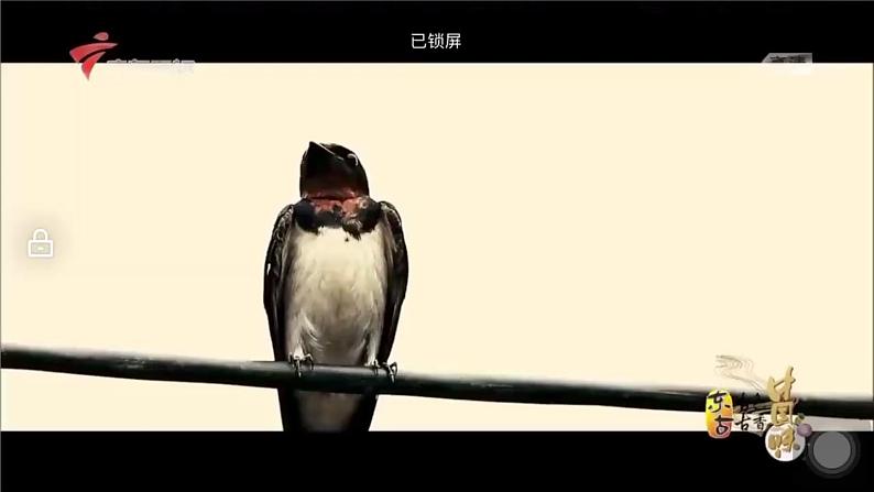 2.1 乡村和城镇空间结构(精品课件)-高一地理下学期同步备课教案+课件+练习(人教2019必修第二册)03