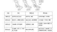 中图版 (2019)必修 第二册第二节 人口迁移的特点及影响因素优秀课时训练